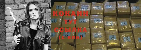 мет Пестово
