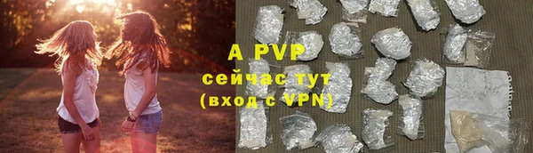 круглые Пересвет