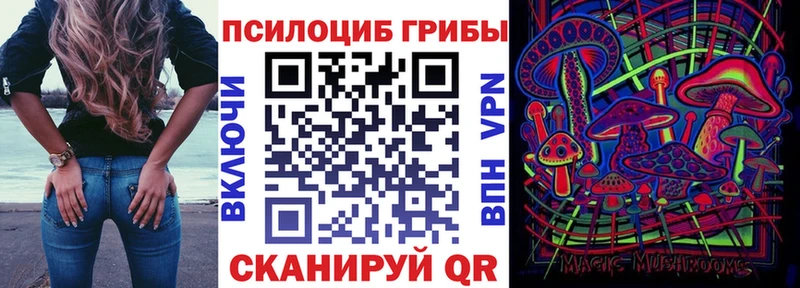 Галлюциногенные грибы Psilocybine cubensis  KRAKEN ССЫЛКА  Семёнов 